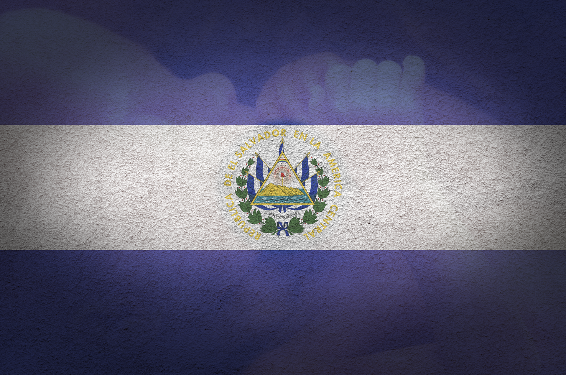 Ave Law Professor Testifies In Landmark Human Rights Case Before The Inter-American Court Of Human Rights